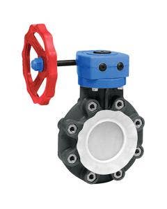 High Purity TFM-Lined Bfy Valves, FKM